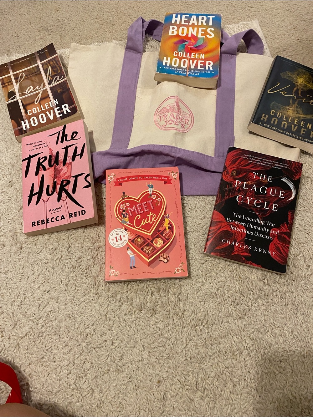 Verity books with Trader Joe’s bag